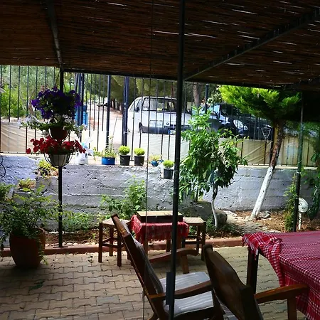 Guest house Guzelyali 2*