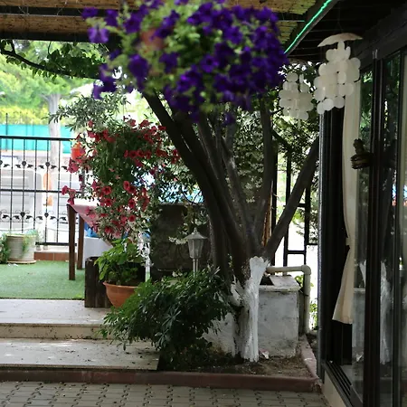 Guest house Guzelyali 2*