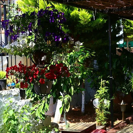 Guzelyali 2* Ayvalik
